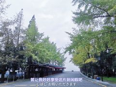 -都江堰景区