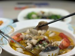 -港升鱼师傅·中山脆肉鲩