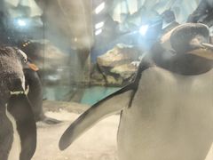 -波塞冬海底世界