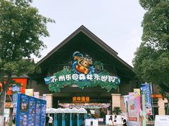 -苏州乐园森林水世界