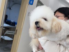 -艾贝尔宠物医院 ·中兽医·宠保定点(北门桥店)