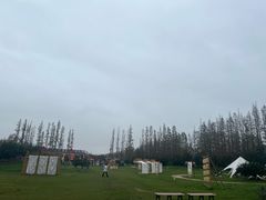 -上海长兴岛郊野公园