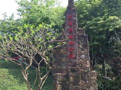 -王借岗森林公园