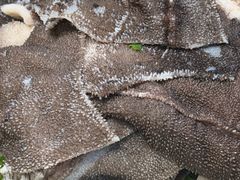 -湘潭九龙鱼头店(城南西路店)