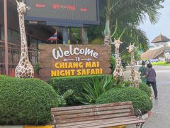 -清迈夜间动物园