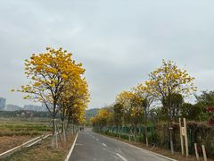 -光明小镇欢乐田园