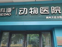-科道动物医院·急重症中心(万达院)