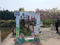 -嘉定紫藤园