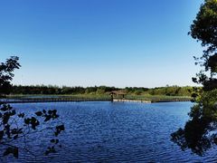 -溱湖国家湿地公园