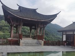 -李子坝梁山鸡(北碚万达五鸡哥店)