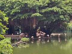 -九龙公园