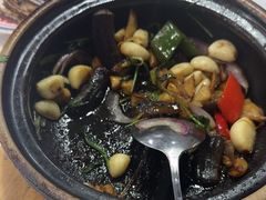 -明本湛江鸡•海鲜小厨(陈家祠店)
