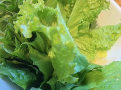 -草原塞蛮羊火锅城(港湾店)