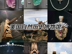 -美国自然历史博物馆