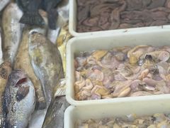 -鸿运美食府