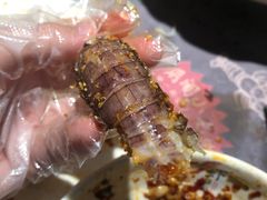 -虾胡闹龙虾馆(湄南河店)