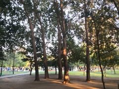 -长春公园(普阳街道)