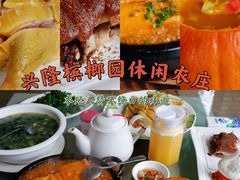 -兴隆槟榔园休闲农庄