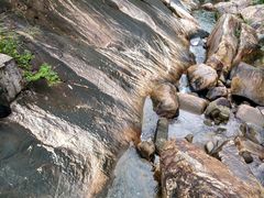 -广州白江湖森林公园