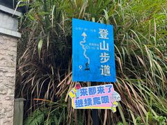 -广州市帽峰山景区