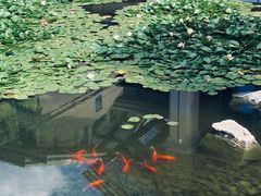 -昆明洲际酒店