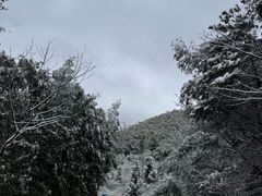 -安吉龙王山风景区