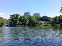 -荔湾湖公园