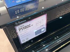 -盛世雅歌琴行·雅马哈钢琴专卖店·电钢琴城·钢琴培训(新辰里学清路店)