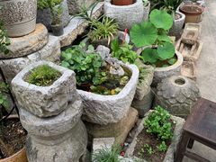 -桂林市花鸟市场