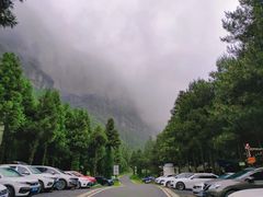 -重庆睡佛山森林公园