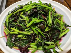 -鸽子窝(青塔店)