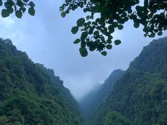 -龙窝子