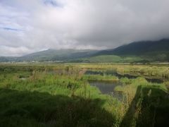 -腾冲北海湿地