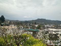 -桃源山庄·水蜜桃采摘·柴火鸡·烧烤团建(龙泉山店)