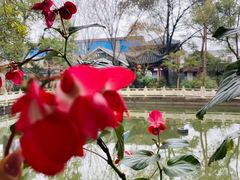 -龚家花园农家乐休闲别墅