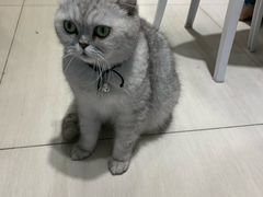 -Oasis绿洲银饰珍珠手作diy(壹方城店)