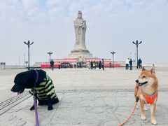 -天津妈祖文化园