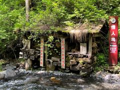 -凤凰山国家森林公园