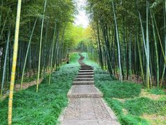 -良渚古城遗址公园