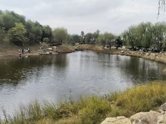 -莫子山公园