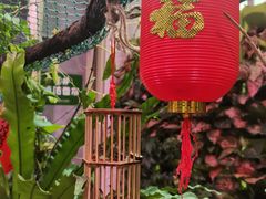 -正佳雨林生态植物园
