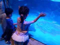 -沈阳海洋探索中心