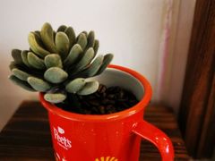 -Peet's 皮爷咖啡(东湖路手作店)