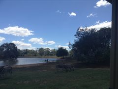 -威勒比开放式动物园