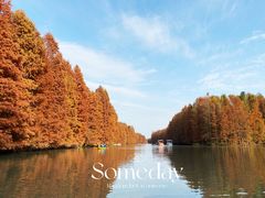 -上海海湾国家森林公园