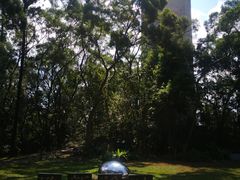 -大埔公路-马料水段香港中文大学(公交站)