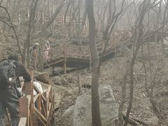 -大岭沟猕猴桃谷风景区