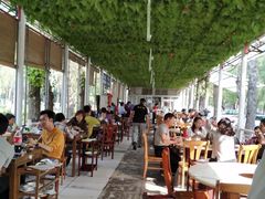 露天位-福寿斋·老北京铜锅涮肉·烤鸭(顺义总店)