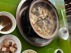 -百菇园野生菌煲(平武店)