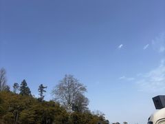 -莫干山风景区